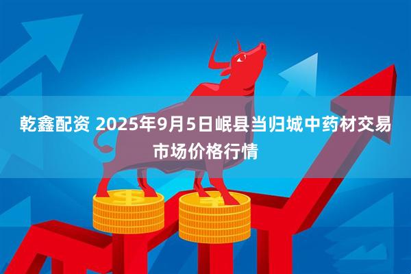 乾鑫配资 2025年9月5日岷县当归城中药材交易市场价格行情