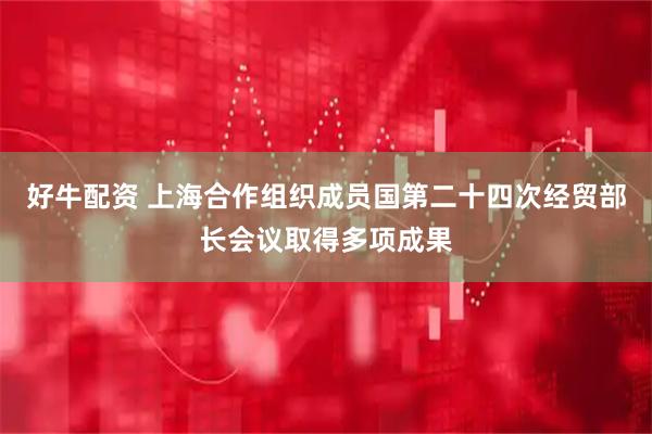 好牛配资 上海合作组织成员国第二十四次经贸部长会议取得多项成果