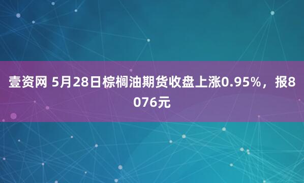 壹资网 5月28日棕榈油期货收盘上涨0.95%，报8076元