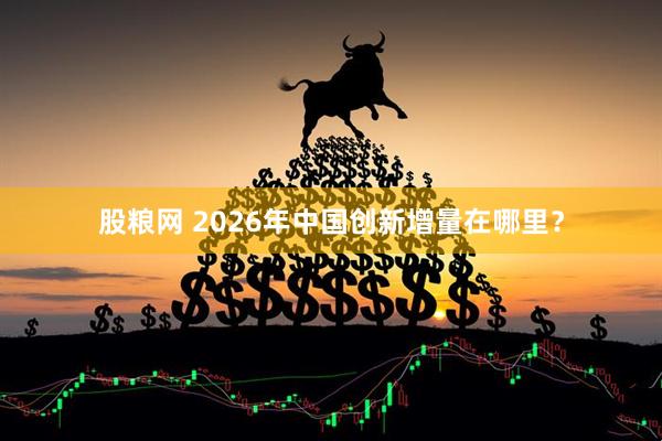 股粮网 2026年中国创新增量在哪里？