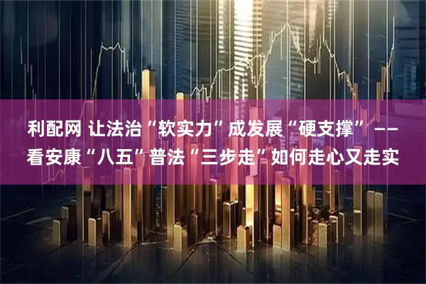 利配网 让法治“软实力”成发展“硬支撑” ——看安康“八五”普法“三步走”如何走心又走实