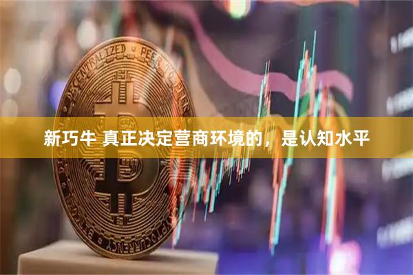 新巧牛 真正决定营商环境的，是认知水平